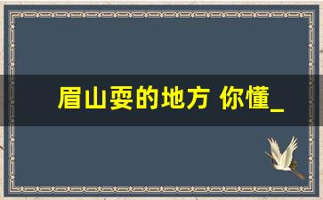 眉山耍的地方 你懂_眉山九巷十坊莎莎舞在哪里